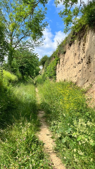 22-06-06 11-43-00 1062.jpeg